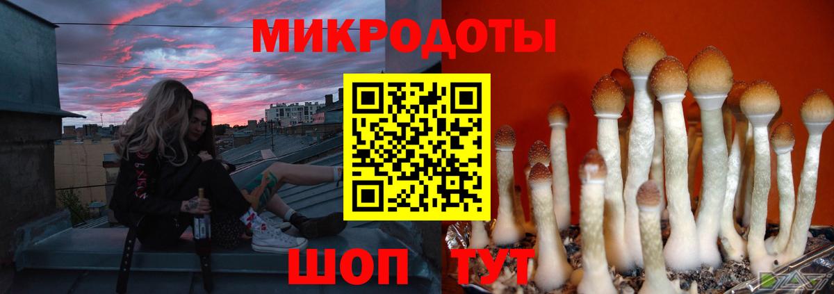 Галлюциногенные грибы GOLDEN TEACHER Мариинск