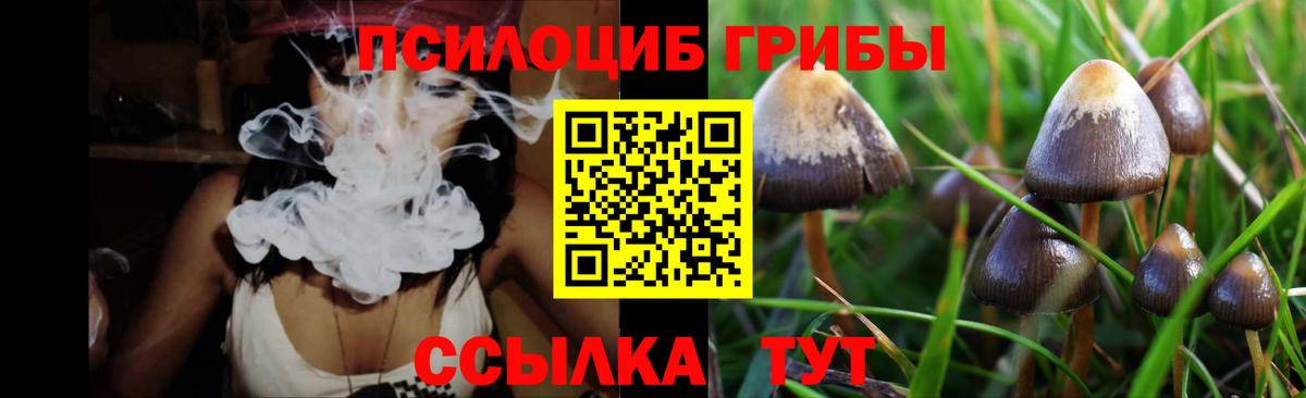Мариинск  закладки  Галлюциногенные грибы Psilocybe  Вход с VPN  Псилоцибиновые грибы ЛСД 